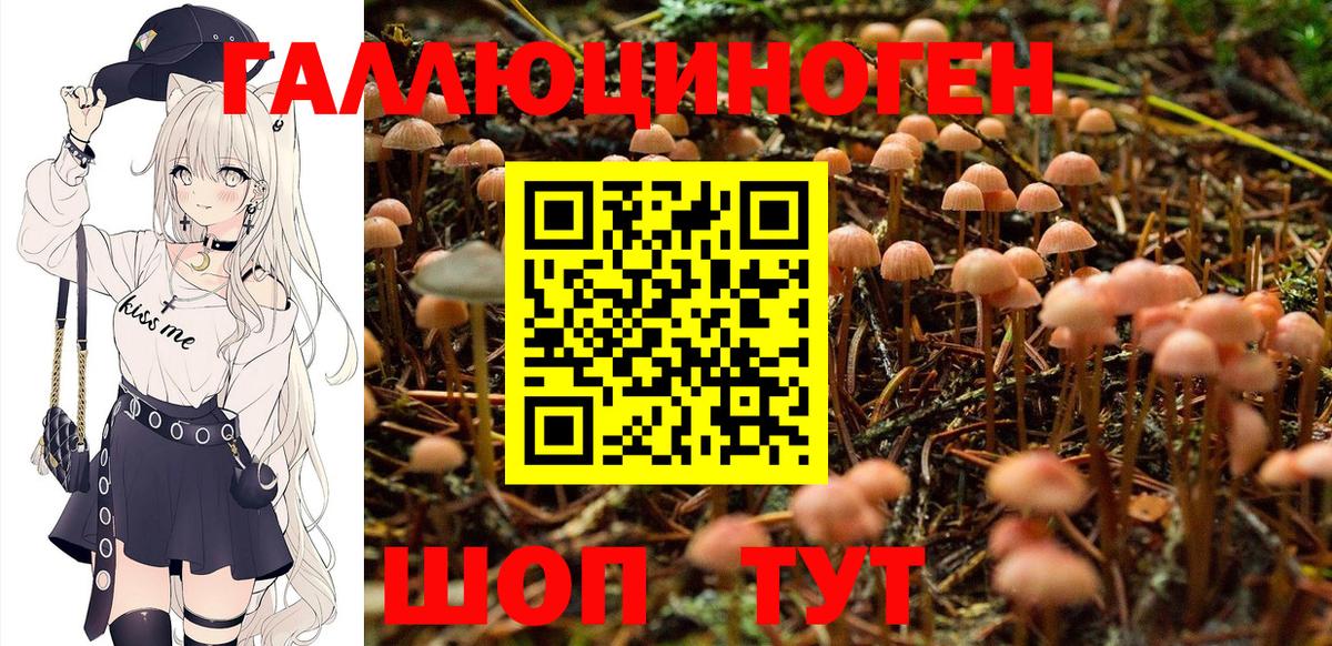 Мыски  Псилоцибиновые грибы мицелий  Вход с VPN 